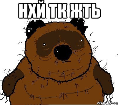 НХЙ ТК ЖТЬ , Мем  Винни збс