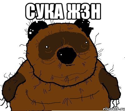 Сука ЖЗН , Мем  Винни збс