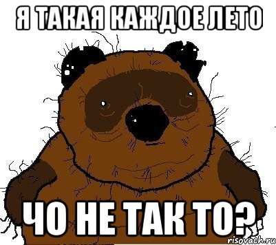 Я такая каждое лето чо не так то?, Мем  Винни збс