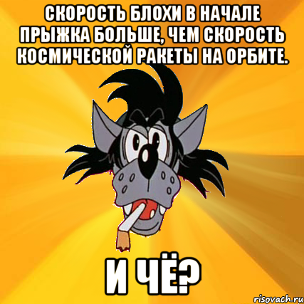 Скорость блохи в начале прыжка больше, чем скорость космической ракеты на орбите. и Чё?, Мем Волк