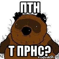 ПТН Т ПРНС?, Мем   Вонни