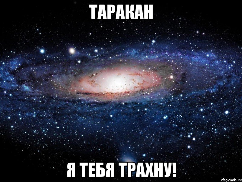 Таракан Я тебя трахну!, Мем Вселенная