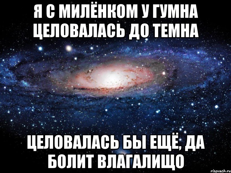 я с милёнком у гумна целовалась до темна целовалась бы ещё, да болит влагалищо, Мем Вселенная