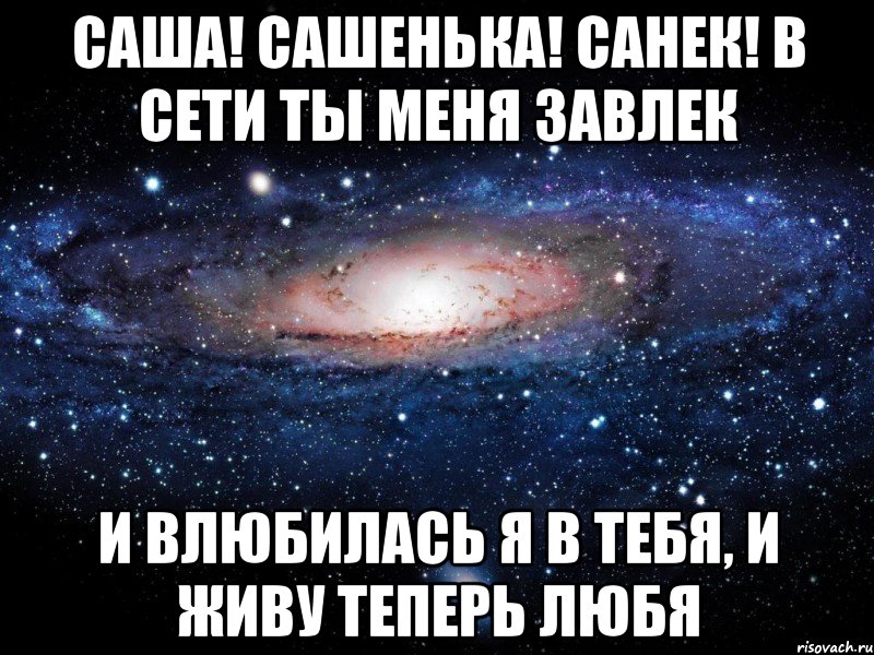 Саша! Сашенька! Санек! В сети ты меня завлек И влюбилась я в тебя, И живу теперь любя, Мем Вселенная