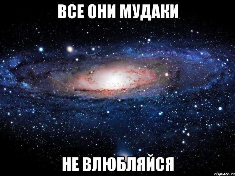 все они мудаки не влюбляйся, Мем Вселенная