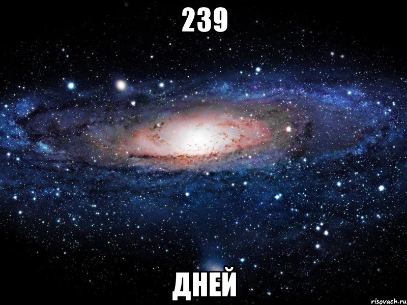 239 дней, Мем Вселенная