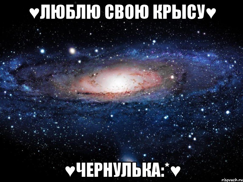 ♥Люблю свою крысу♥ ♥Чернулька:*♥, Мем Вселенная