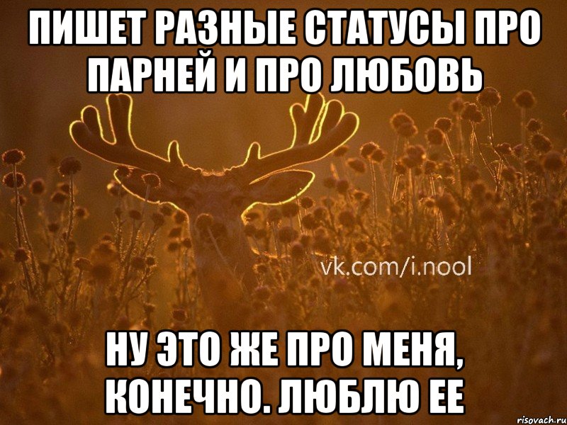 пишет разные статусы про парней и про любовь ну это же про меня, конечно. люблю ее, Мем  ву