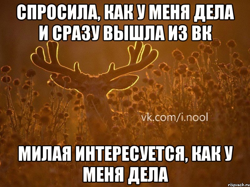 спросила, как у меня дела и сразу вышла из вк милая интересуется, как у меня дела, Мем  ву