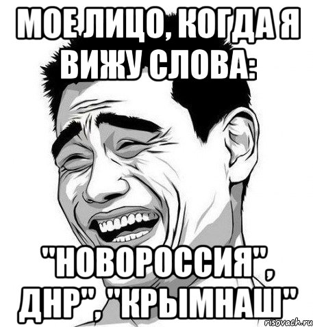 мое лицо, когда я вижу слова: "новороссия", днр", "крымнаш", Мем Яо Мин