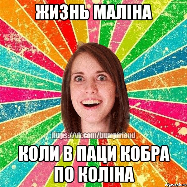 Жизнь маліна коли в паци кобра по коліна, Мем Йобнута Подруга ЙоП