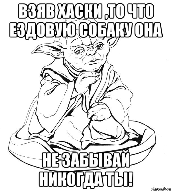 Взяв хаски ,то что ездовую собаку она Не забывай никогда ТЫ!, Мем Мастер Йода