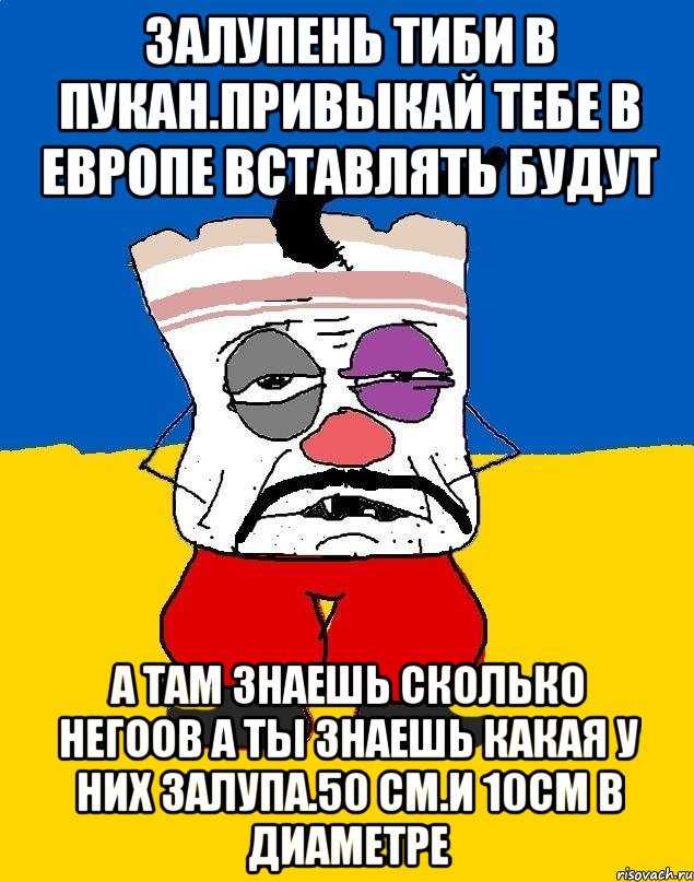 Залупень тиби в пукан.привыкай тебе в европе вставлять будут А там знаешь сколько негоов а ты знаешь какая у них залупа.50 см.и 10см в диаметре, Мем Западенец - тухлое сало