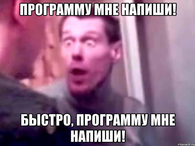 Программу мне напиши! Быстро, программу мне напиши!, Мем Запили