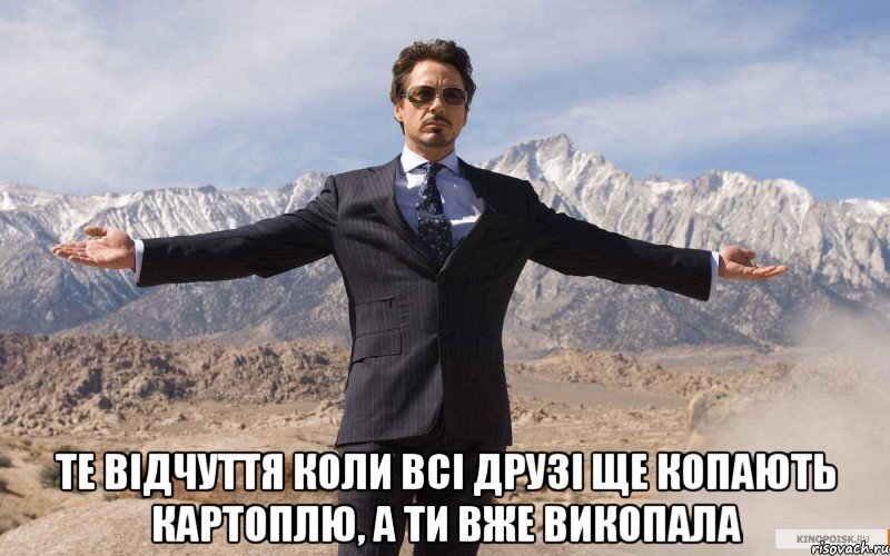  Те відчуття коли всі друзі ще копають картоплю, а ти вже викопала, Мем железный человек