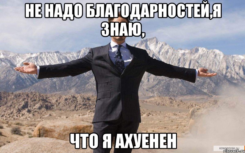 Не надо благодарностей,я знаю, что я АХУЕНЕН, Мем железный человек