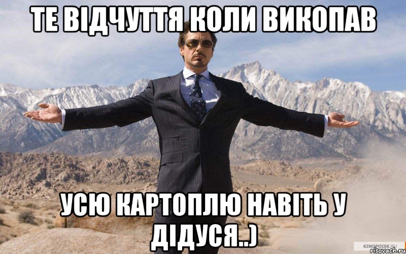 Те відчуття коли викопав усю картоплю навіть у дідуся..), Мем железный человек