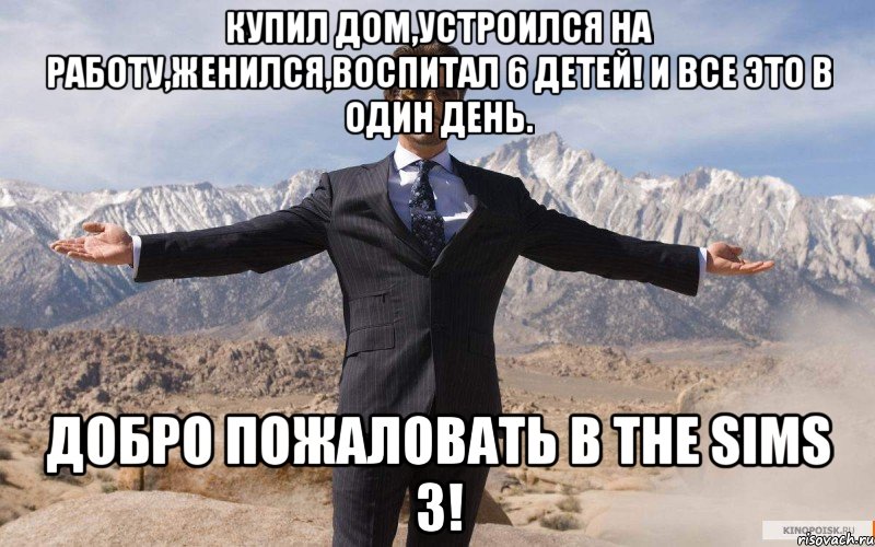 Купил дом,устроился на работу,женился,воспитал 6 детей! И все это в один день. Добро пожаловать в the sims 3!, Мем железный человек