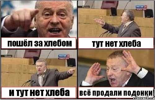 пошёл за хлебом тут нет хлеба и тут нет хлеба всё продали подонки!, Комикс жиреновский