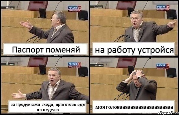 Паспорт поменяй на работу устройся за продуктами сходи, приготовь еды на неделю моя головаааааааааааааааааааа, Комикс Жирик в шоке хватается за голову