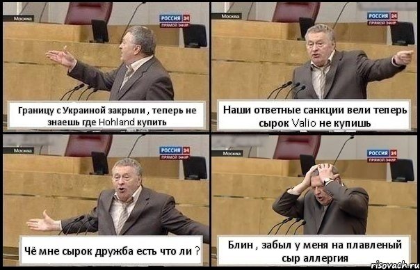 Границу с Украиной закрыли , теперь не знаешь где Hohland купить Наши ответные санкции вели теперь сырок Valio не купишь Чё мне сырок дружба есть что ли ? Блин , забыл у меня на плавленый сыр аллергия, Комикс Жирик в шоке хватается за голову