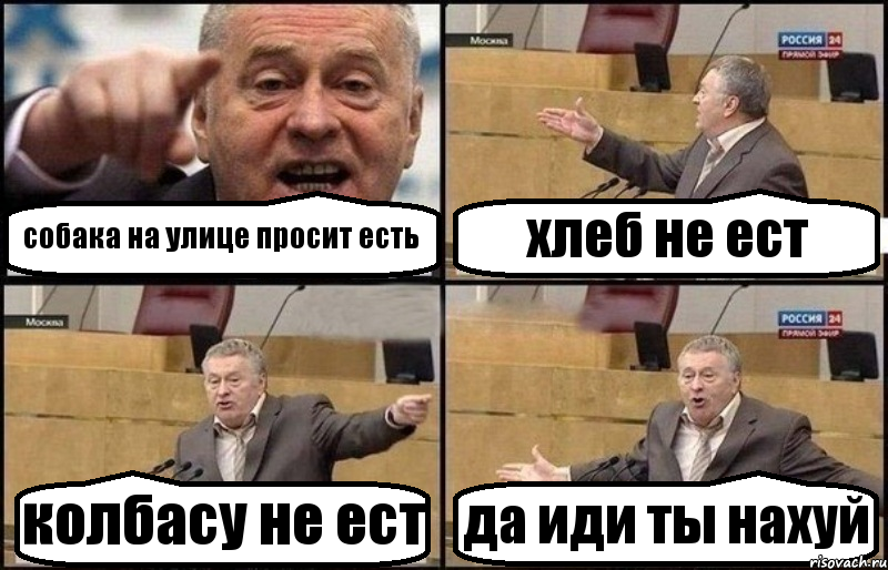 собака на улице просит есть хлеб не ест колбасу не ест да иди ты нахуй, Комикс Жириновский