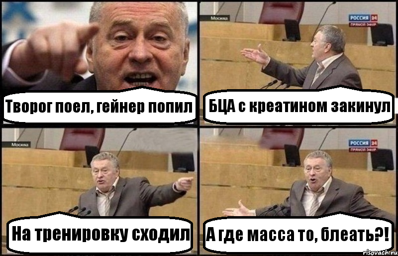 Творог поел, гейнер попил БЦА с креатином закинул На тренировку сходил А где масса то, блеать?!, Комикс Жириновский