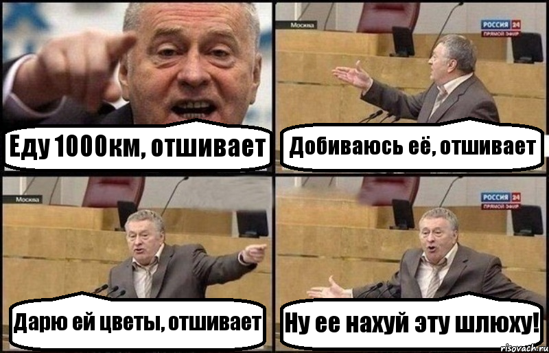 Еду 1000км, отшивает Добиваюсь её, отшивает Дарю ей цветы, отшивает Ну ее нахуй эту шлюху!, Комикс Жириновский