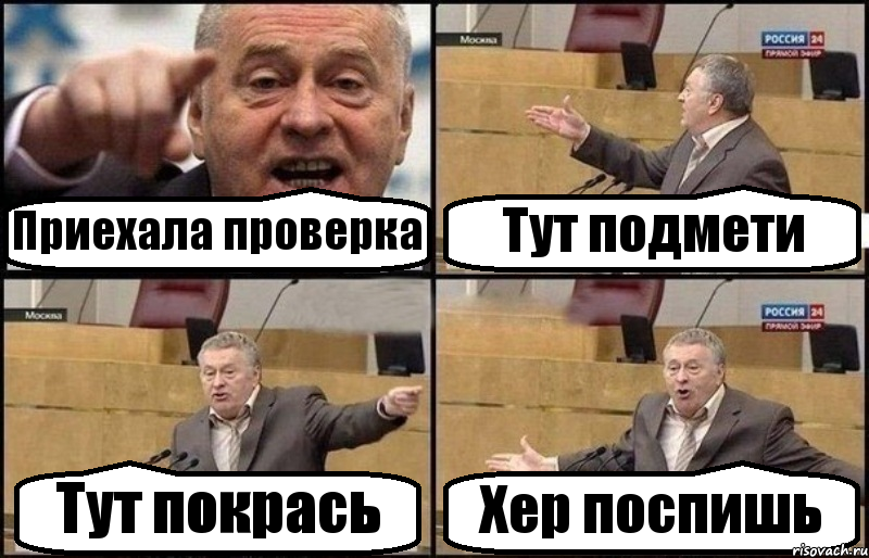 Приехала проверка Тут подмети Тут покрась Хер поспишь, Комикс Жириновский