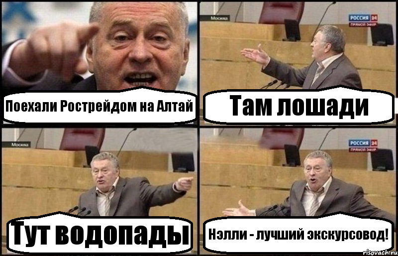 Поехали Рострейдом на Алтай Там лошади Тут водопады Нэлли - лучший экскурсовод!, Комикс Жириновский