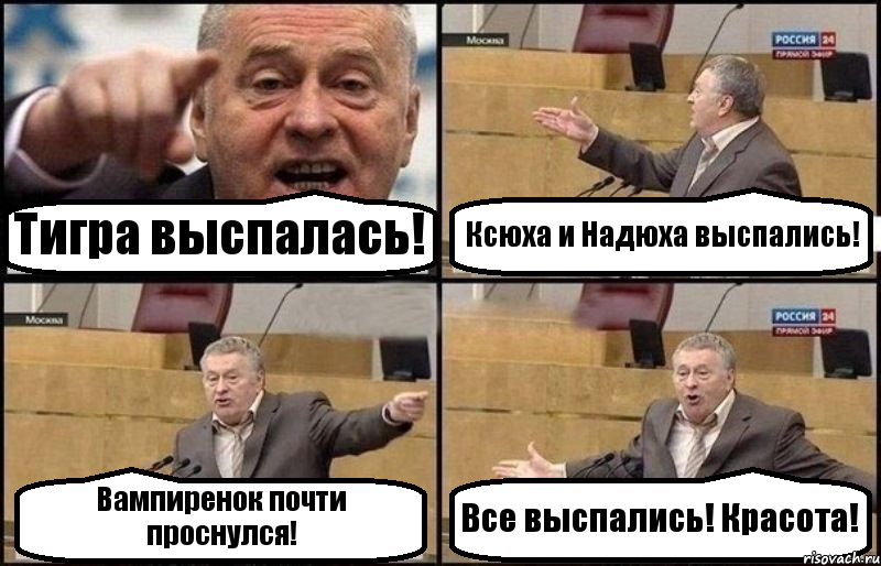 Тигра выспалась! Ксюха и Надюха выспались! Вампиренок почти проснулся! Все выспались! Красота!, Комикс Жириновский