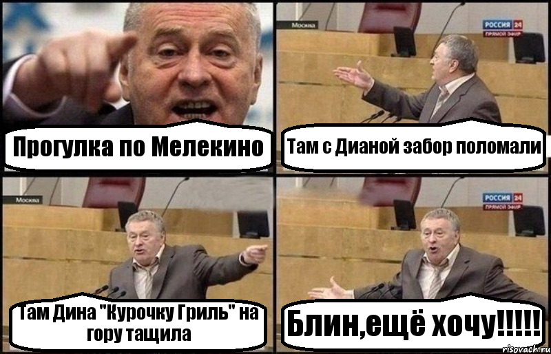 Прогулка по Мелекино Там с Дианой забор поломали Там Дина "Курочку Гриль" на гору тащила Блин,ещё хочу!!!!!, Комикс Жириновский