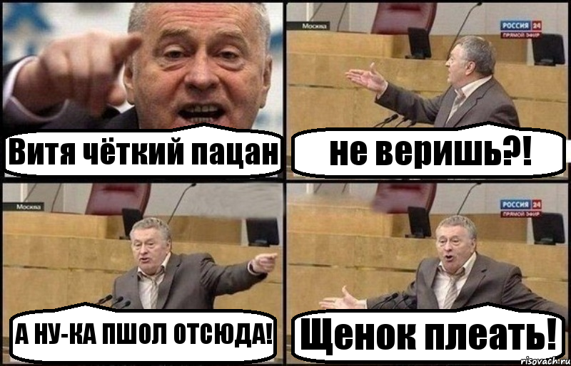 Витя чёткий пацан не веришь?! А НУ-КА ПШОЛ ОТСЮДА! Щенок плеать!, Комикс Жириновский