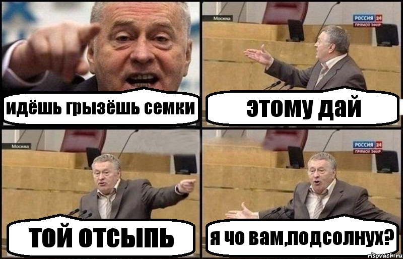 идёшь грызёшь семки этому дай той отсыпь я чо вам,подсолнух?, Комикс Жириновский