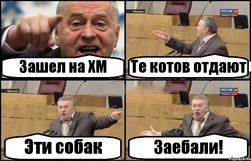 Зашел на ХМ Те котов отдают Эти собак Заебали!, Комикс Жириновский