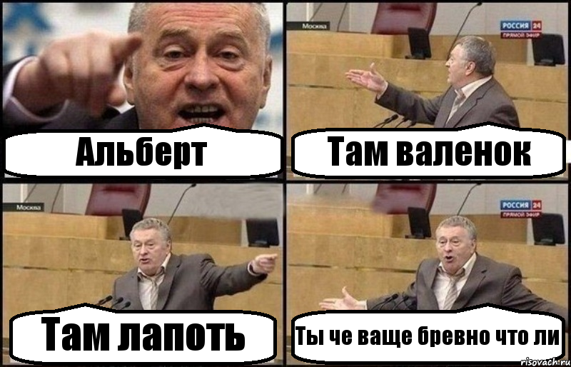 Альберт Там валенок Там лапоть Ты че ваще бревно что ли, Комикс Жириновский