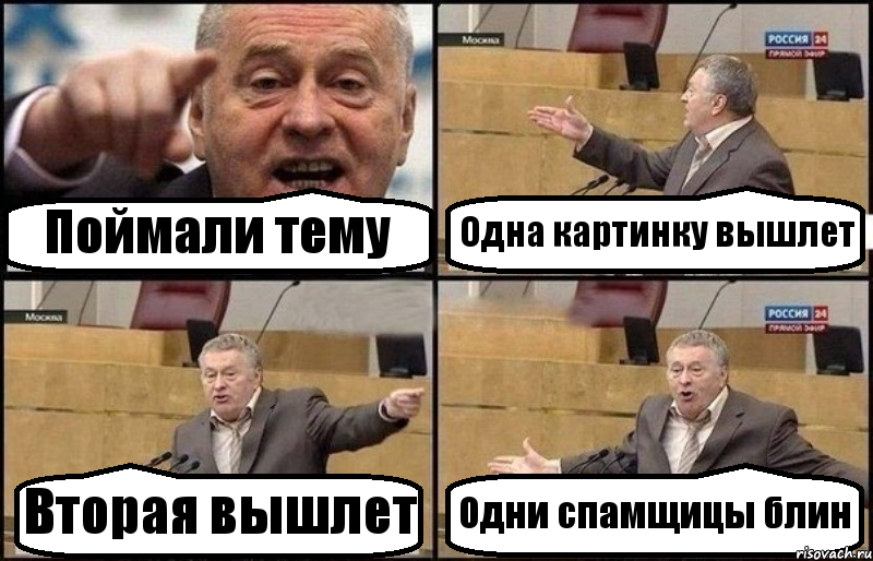 Поймали тему Одна картинку вышлет Вторая вышлет Одни спамщицы блин, Комикс Жириновский