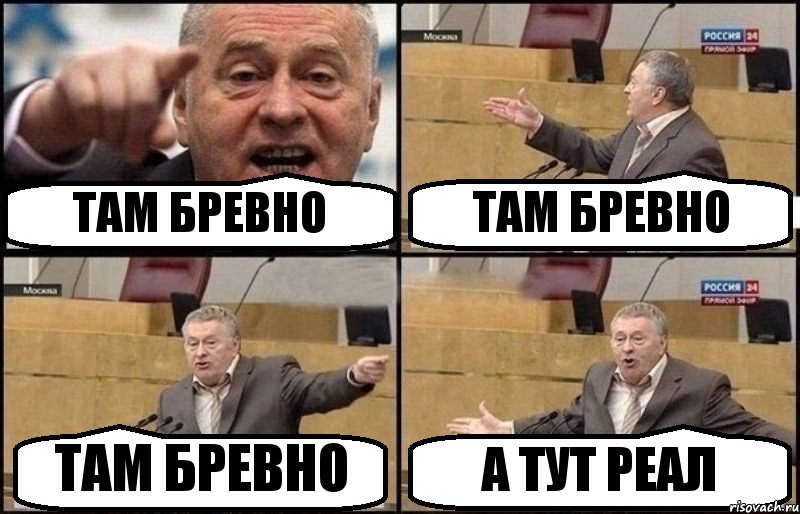 ТАМ БРЕВНО ТАМ БРЕВНО ТАМ БРЕВНО А ТУТ РЕАЛ, Комикс Жириновский