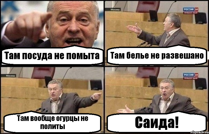 Там посуда не помыта Там белье не развешано Там вообще огурцы не политы Саида!, Комикс Жириновский