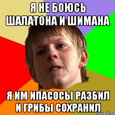 Я НЕ БОЮСЬ ШАЛАТОНА И ШИМАНА Я ИМ ИПАСОСЫ РАЗБИЛ И ГРИБЫ СОХРАНИЛ, Мем Злой школьник