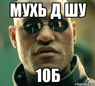 мухь д шу 10Б, Мем  а что если я скажу тебе