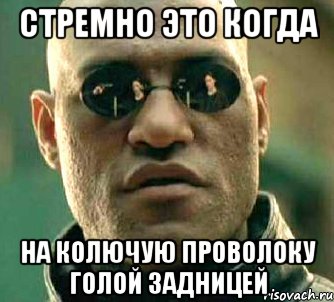 Стремно это когда На колючую проволоку голой задницей, Мем  а что если я скажу тебе