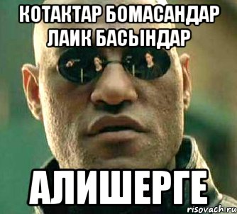 котактар бомасандар лаик басындар алишерге, Мем  а что если я скажу тебе