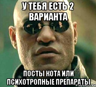 У тебя есть 2 варианта Посты Кота или психотропные препараты, Мем  а что если я скажу тебе