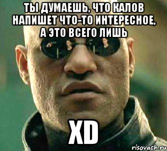 Ты думаешь, что Калов напишет что-то интересное, а это всего лишь XD, Мем  а что если я скажу тебе