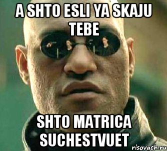 A shto esli ya skaju tebe Shto matrica suchestvuet, Мем  а что если я скажу тебе