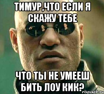 тимур,что если я скажу тебе что ты не умееш бить лоу кик?, Мем  а что если я скажу тебе