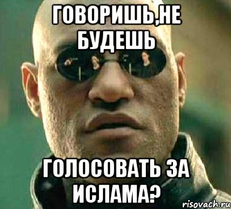 Говоришь,не будешь голосовать за Ислама?, Мем  а что если я скажу тебе