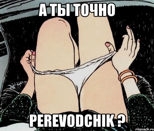 А ты точно PEREVODCHIK ?, Мем А ты точно