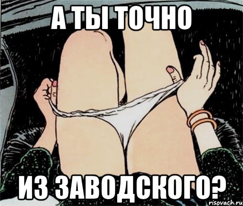 а ты точно из заводского?, Мем А ты точно